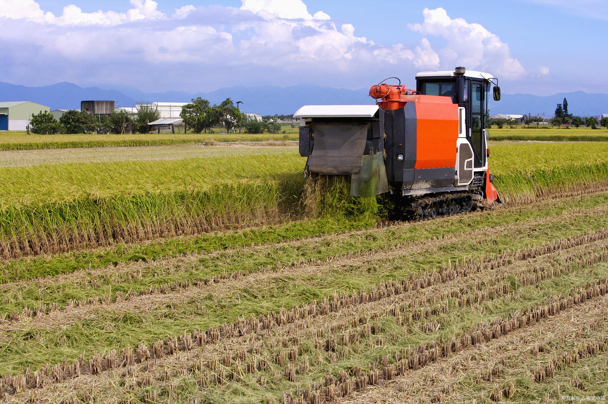 糧食安全戰略引領，A股農業板塊逆市走強 四只潛力黑馬股深度解析